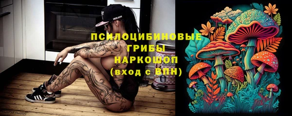 spice Алзамай