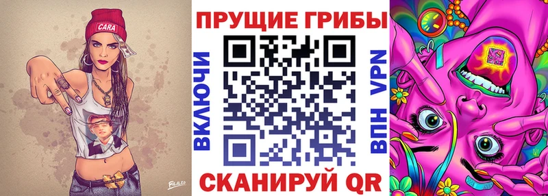 Галлюциногенные грибы GOLDEN TEACHER  Краснокамск 